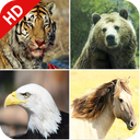 170 Animal Sounds