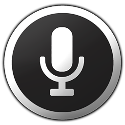 Voice Command