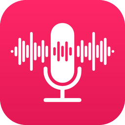 Voice Recorder: Voice Notes