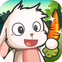 Lop Survival