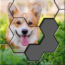 Hex Block Jigsaw Puzzle