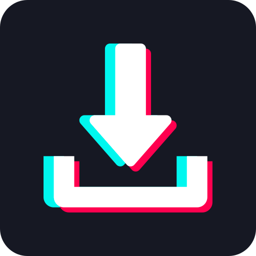  tik tok video downloader 