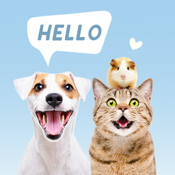 Pets Translator: Dog & Cat