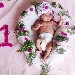 Monthly Baby Decor Photo Ideas