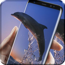 Lovely Dolphin Live Wallpaper