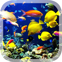 Real Aquarium Live Wallpaper