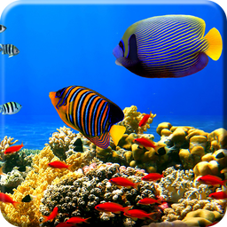 Aquarium Undersea wallpaper