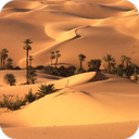 Desert HD Wallpaper