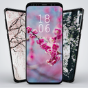 HD True Wallpaper 📱 Sakura 📱 2021