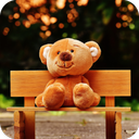 Teddy Bear HD Wallpaper