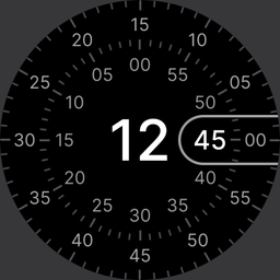 Concentric - Pixel Watch Face