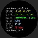 Terminal Watch face