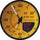 D355 Watch Face