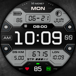 MD167: Digital watch face