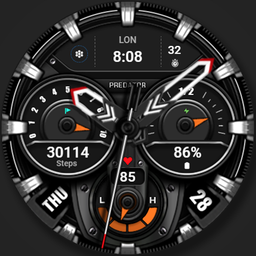 WFP 239 Ultra watch face