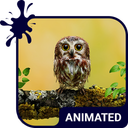 Baby Owl Live Wallpaper Theme