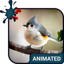 Bird Live Wallpaper + Keyboard