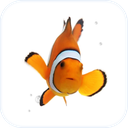 Fish Live Wallpaper Theme HD
