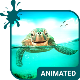 Cute Turtle Wallpaper Theme