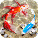 Fish Keyboard + 3D Wallpaper