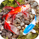 3D Fish Tank Live Wallpaper