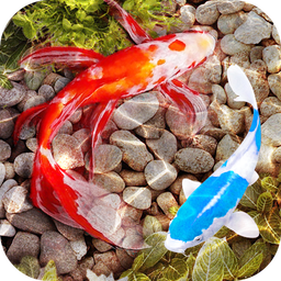 3D Fish Tank Live Wallpaper
