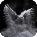 Ghost Eagle Wallpaper HD Theme