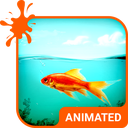 Golden Fish HD Wallpaper Theme