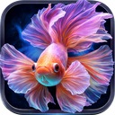 Fish Live Wallpaper 4K