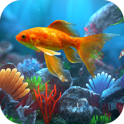 Ocean Live Wallpaper HD Theme