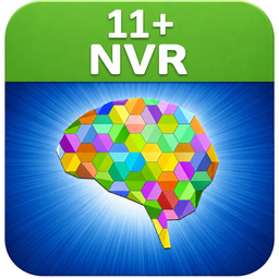 11+ Non-verbal Reasoning