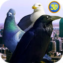City Birds Simulator