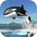 Orca Survival Simulator