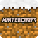 Winter Craft - Block Craft