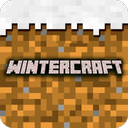 Winter Craft: Exploration & Su