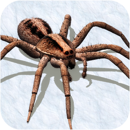 Ultimate Spider Simulator - RPG Game