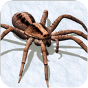 Ultimate Spider Simulator - RPG Game