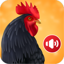 Animal Ringtones: Animal Sound