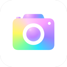 Gemini Camera