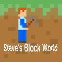 Steve's Block World
