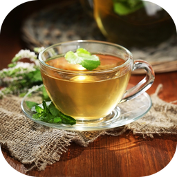 دمنوش های گیاهی