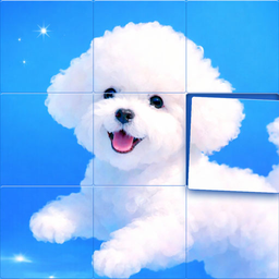 Fun Puzzle Master – Jigsaw