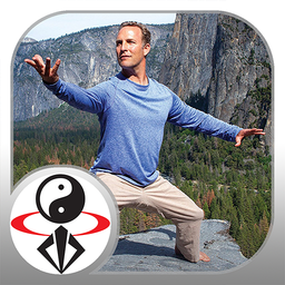 Qi Gong for Energy & Vitality