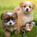 Paws & Claws: Cute Pet Puzzles