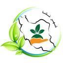 شهرنشا