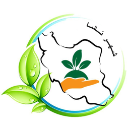 شهرنشا