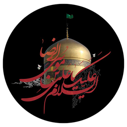 تم حرم امام رضا(ع)