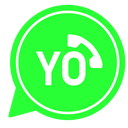 YO Whats plus V16 2021