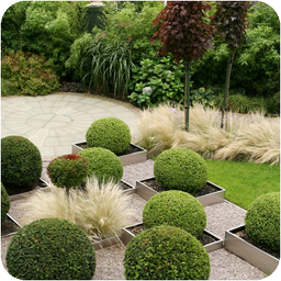 Garden Design Ideas