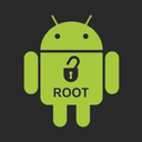 Root